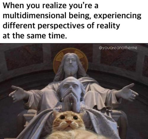 425445604_6857974957646997_3755337267979484046_n