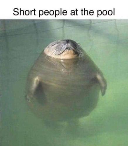 IMG_20240206_161024_018