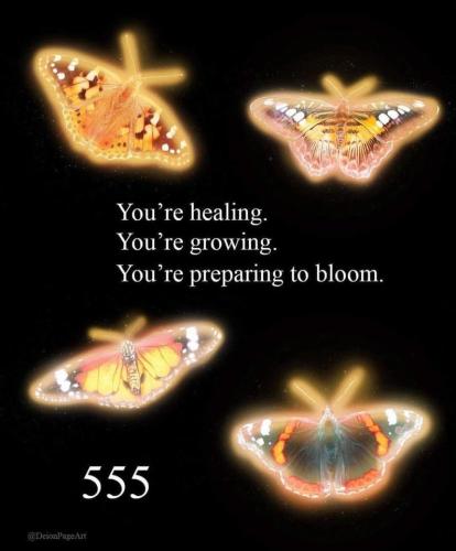428651804_704147865252732_3366932245868320861_n