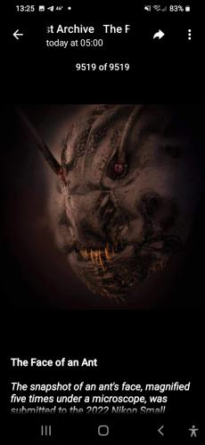 Screenshot_20240207-132520_Telegram