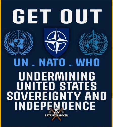 sngine_3e626cfae382f5a8b6d8ce637412b963