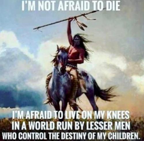 d648e833-7059-49f3-8cb9-0e068d41e23f