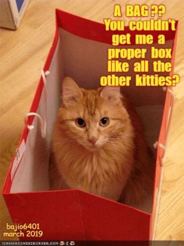 a013db5891de0896c3193379b9e45c5e