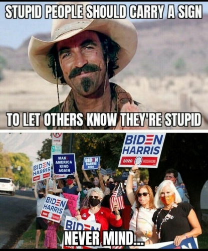 sngine_1ffa9c08601ff4987406778539ea40c2-1