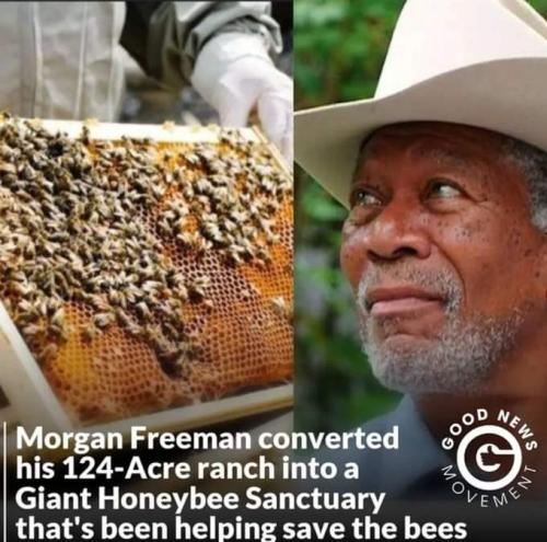 FB_IMG_1707192351858