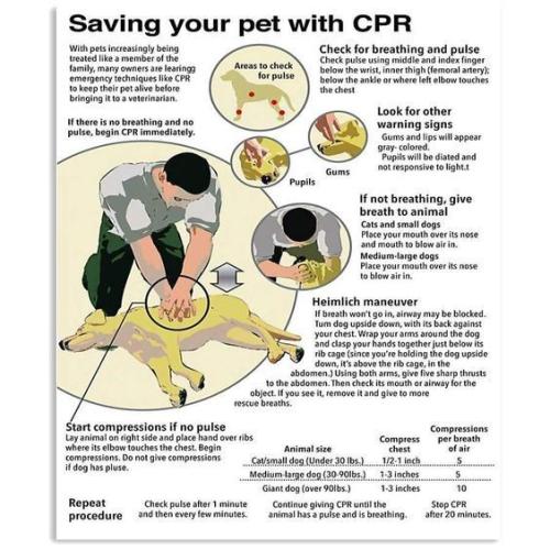 b339df01e169da0b90cda6ac08526397