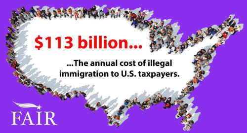 illegal alien cost democrats