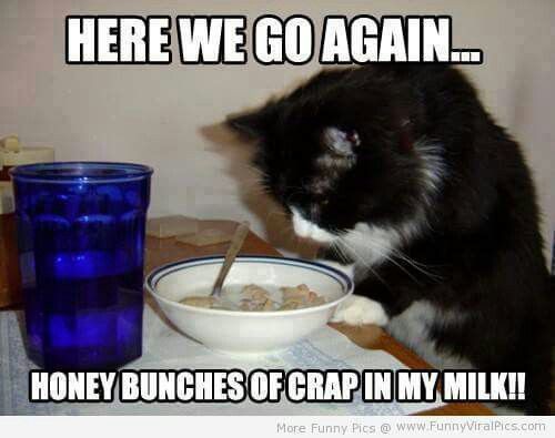 faf1d828052ec463eb9a5454d87523c6