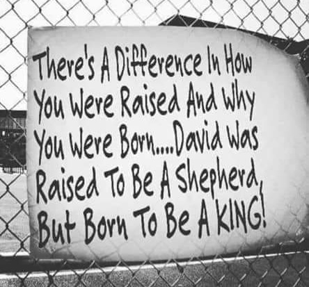 01:09:17 GMT-0800 (PST)