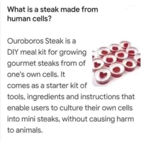 Ouroboros Steak