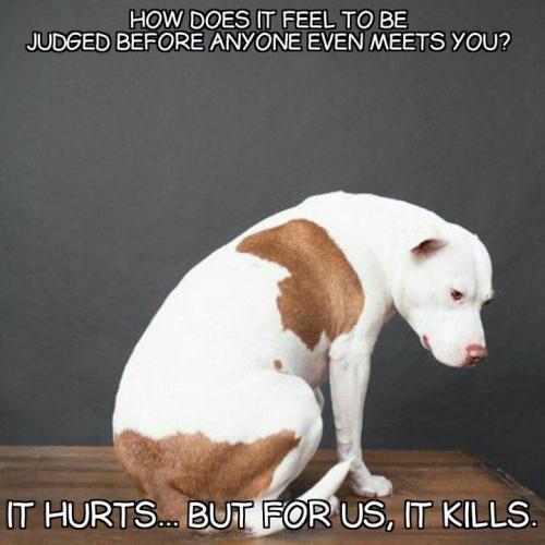 91b0e40616dd38f55eeae7c70fd69b66