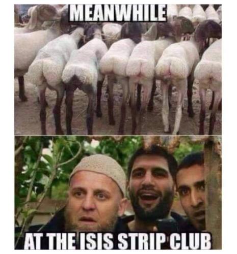 FB_IMG_1707858637215