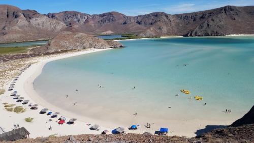 f7a2bdc5-3129-4381-a809-e6e5006998b8