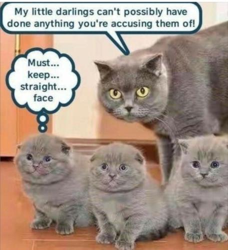 79ec893a8a27c17a4996ff039db6b73b