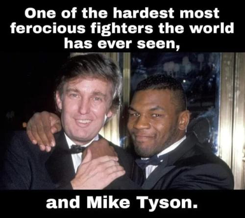 sngine_e74f8706f557a8bda1e40381f5677a04