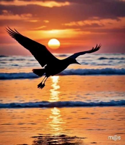 5B176B08-7AF2-49F3-8C59-303D0D98AAD7