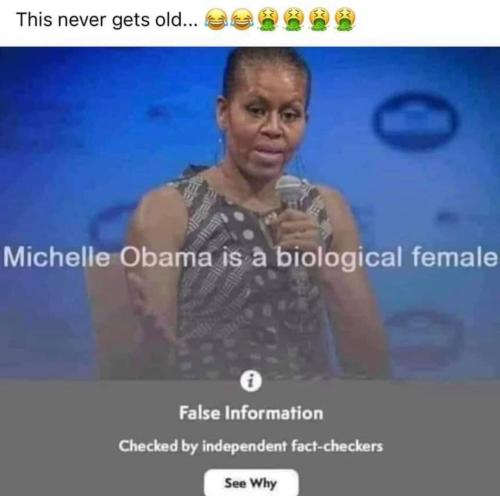 false information