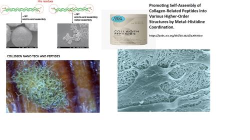 COLLOGEN PEPTIDES NANO