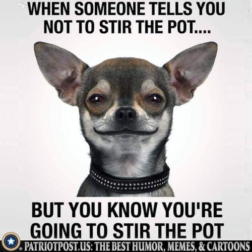 01HNHKCT5YM6KSQSSN0DW6SD5A