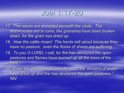 Joel 1_17_20