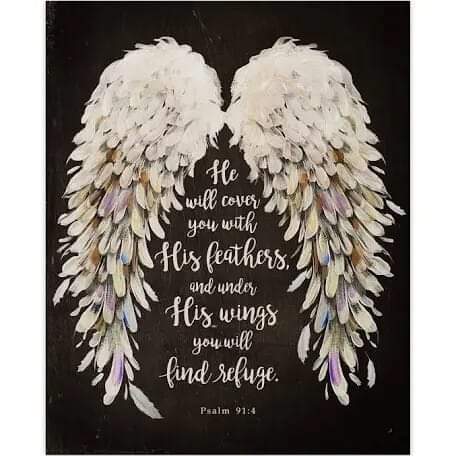 FB_IMG_1708876264105