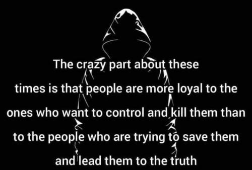 FB_IMG_1708747542671