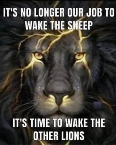 426406570_364909782991193_2879059927945117864_n