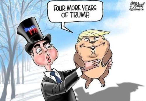 FB_IMG_1706908711919