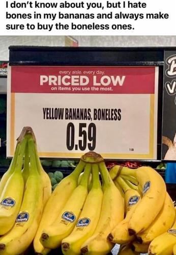 426751995_3625215181078632_5487000749584587855_n