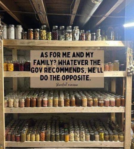 FB_IMG_1708098562398
