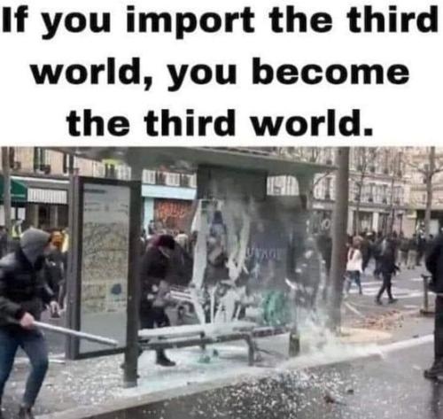 iof you import