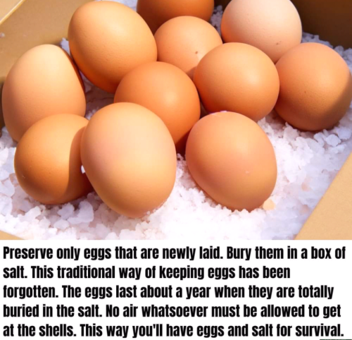 Screenshot_2023-09-01-15-31-10_kindlephoto-14671172