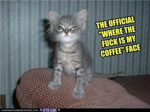 42e39f9d76bcc8ec2f6526c4d4c8b7e6