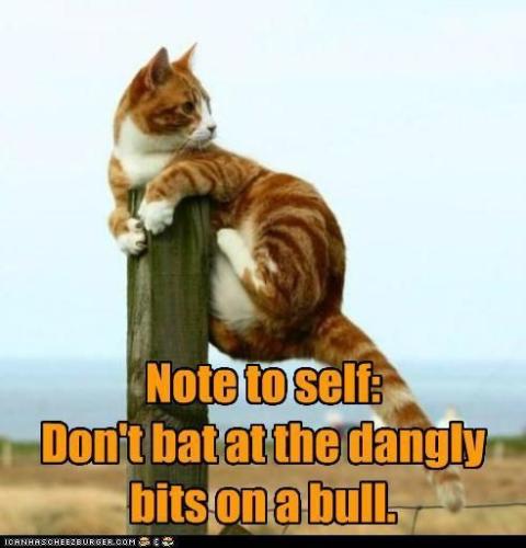 f0ea68966cea1d644c1adb593107b53c