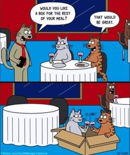 FB_IMG_1707141134977