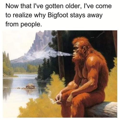 430057529_897899865670724_1699386200431105011_n