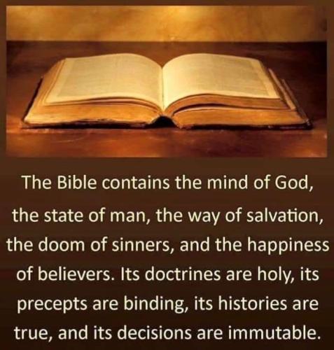 906e680d-4dbe-446a-a499-3a8db2e0253e