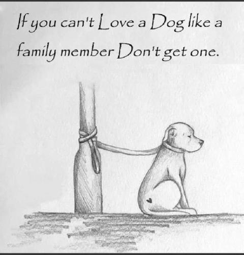 FB_IMG_1708763425535