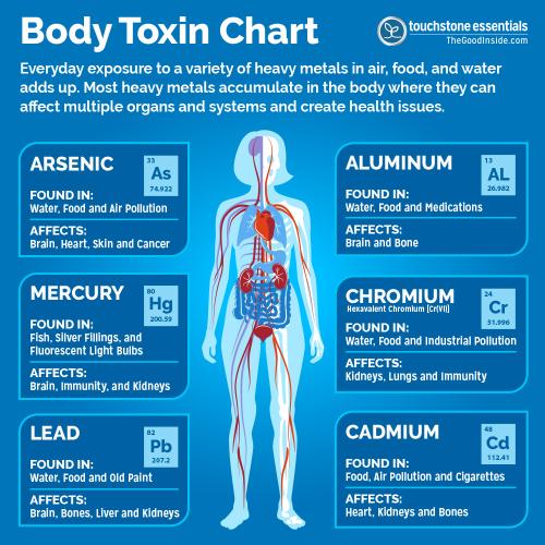Body Toxin Chart - Zeolite