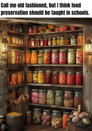 426694081_798106635680097_5417551168658311447_n