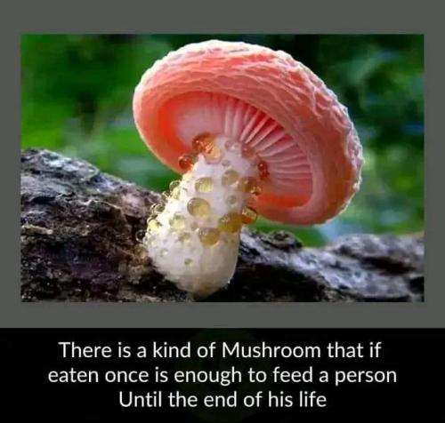 FB_IMG_1707141604979