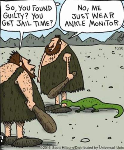 FB_IMG_1708128555554