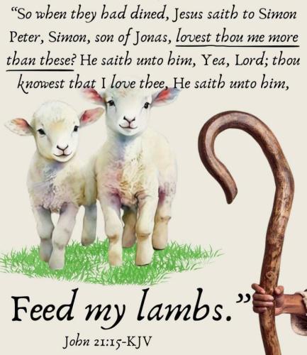 3f5fb577-2e94-4e40-aaa1-91460bfd2596