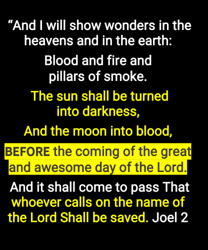 Screenshot_20240222-143745