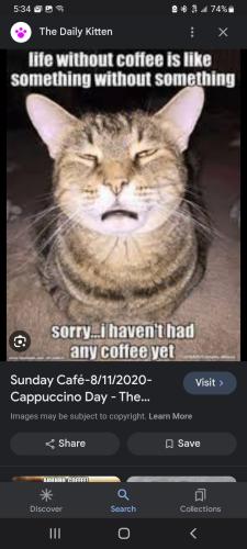 Screenshot_20240218-053433_Google