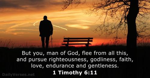 1 Timothy 6_11