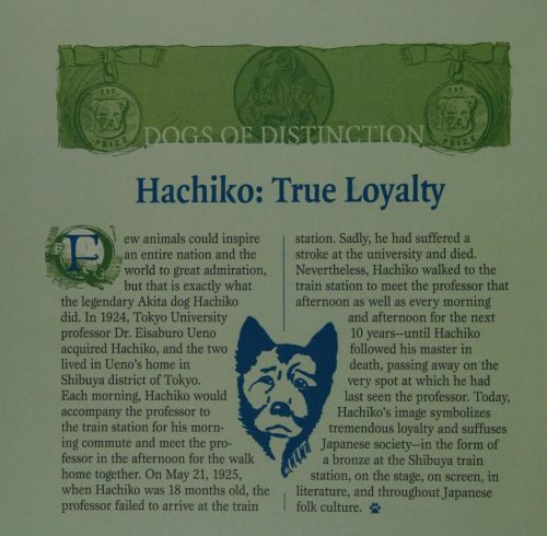 Screenshot_2024-02-05-21-56-23_kindlephoto-384497505