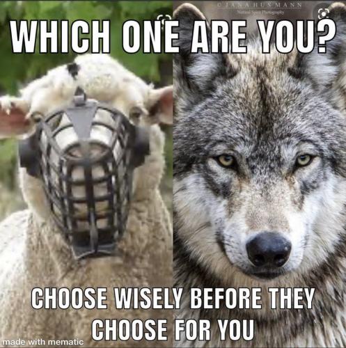 IMG_20240204_224829_342