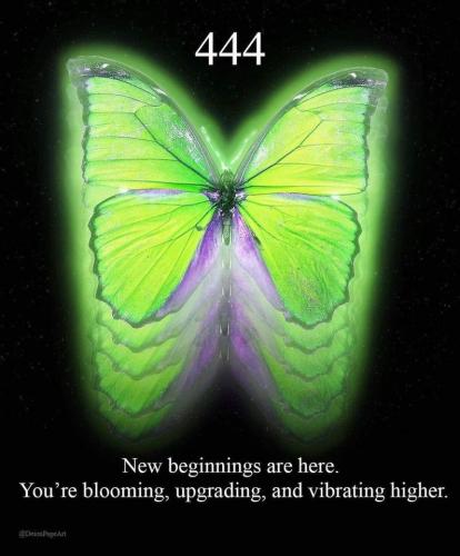 427886723_367656919446727_31249058414343911_n