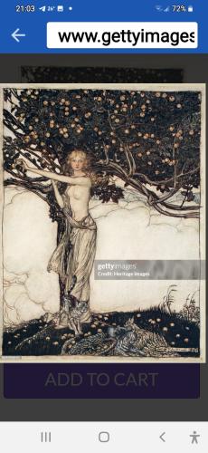 Screenshot_20240218-210346_Shield Home